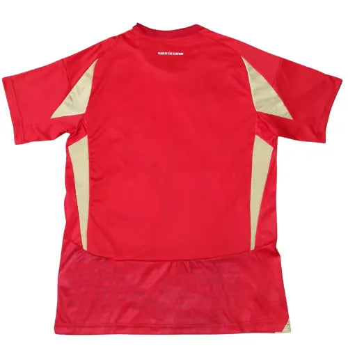 Camisa Al-Ahly I 2024/25