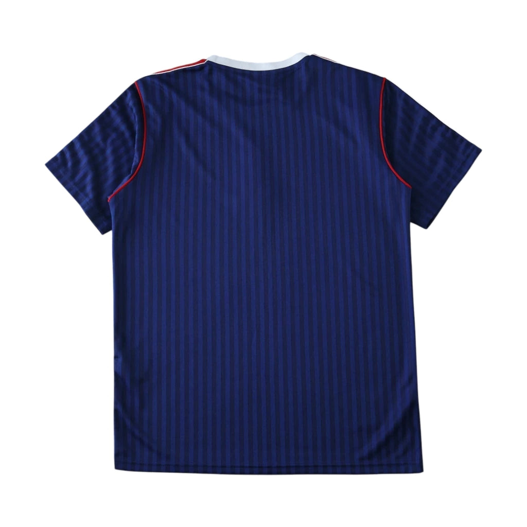 Arsenal Terrace Icons 2025